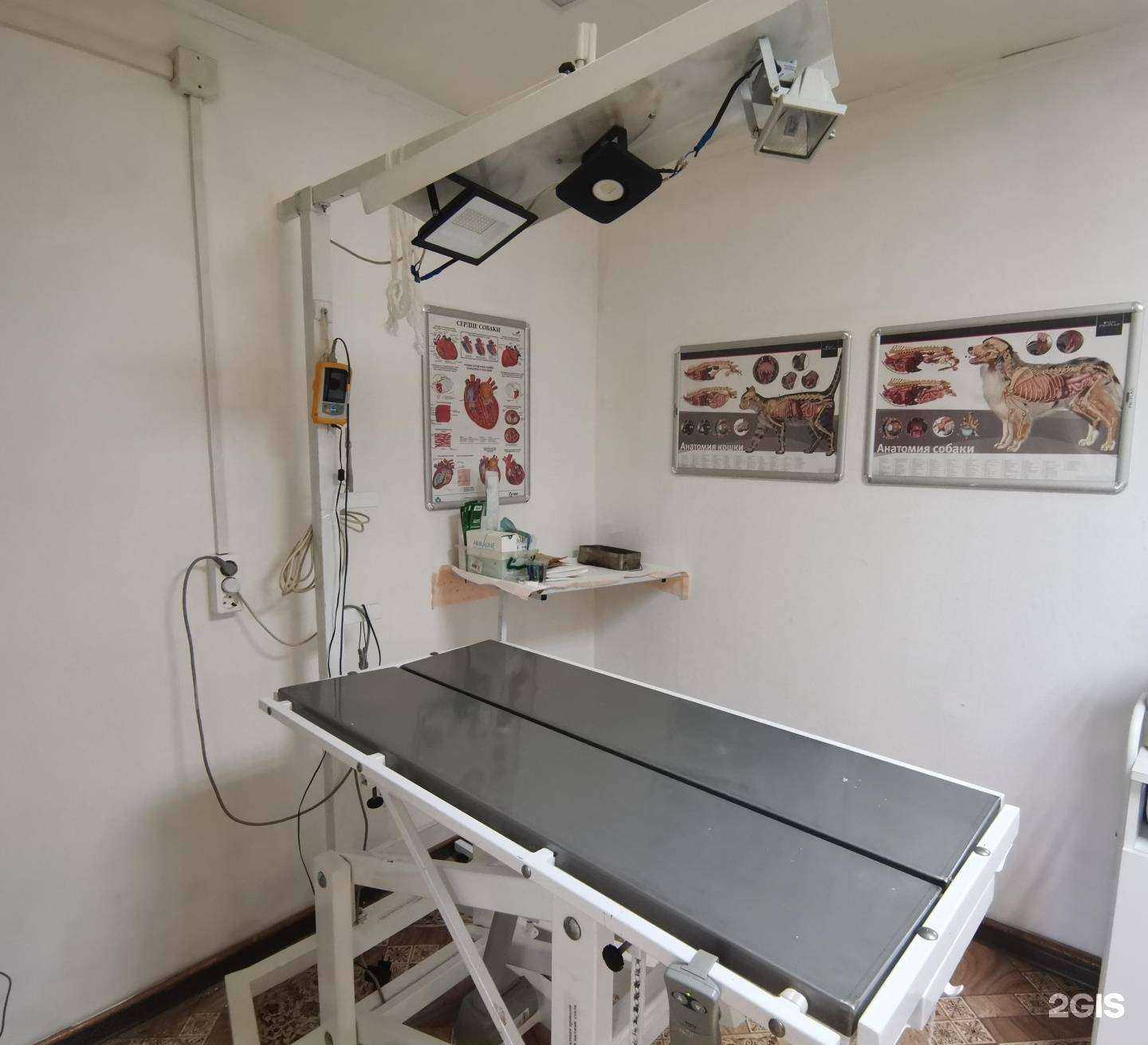 Отзывы на компанию Иркутская районная станция по борьбе с болезнями животных в г. Иркутск c фото