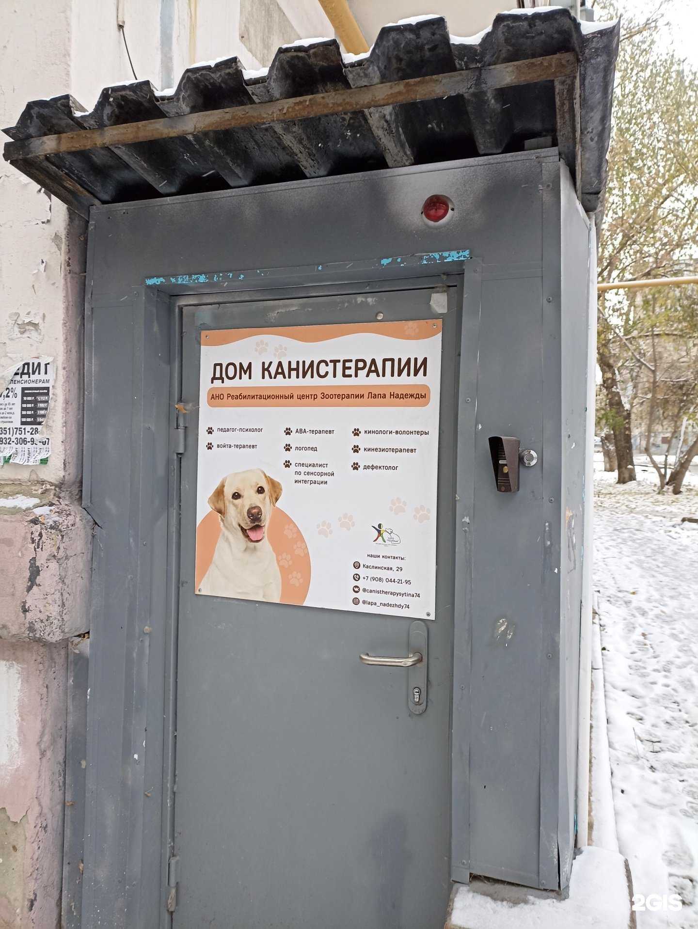 Отзывы на компанию Лапа Надежды в г. Челябинск c фото