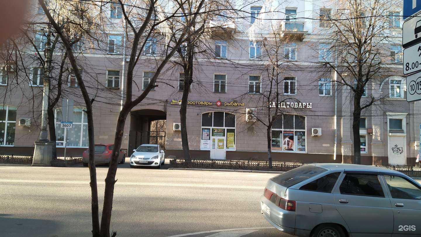 Отзывы на компанию Три кота в Воронеже c фото