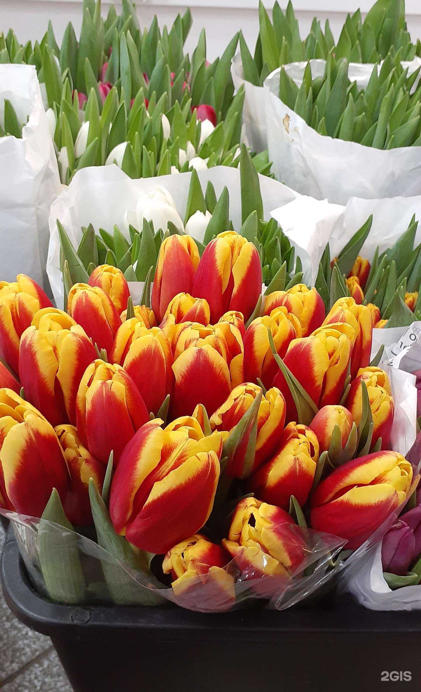 Отзывы на компанию Цветочный склад-магазин в Тюмени c фото