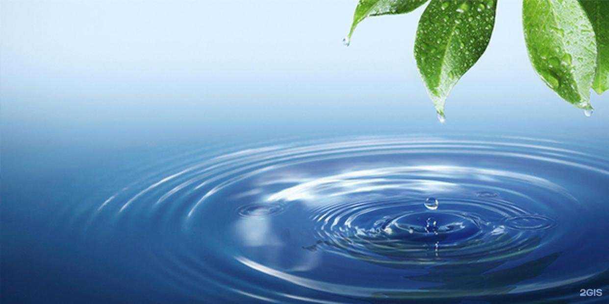 Отзывы на компанию Organik aqua в Обнинске c фото