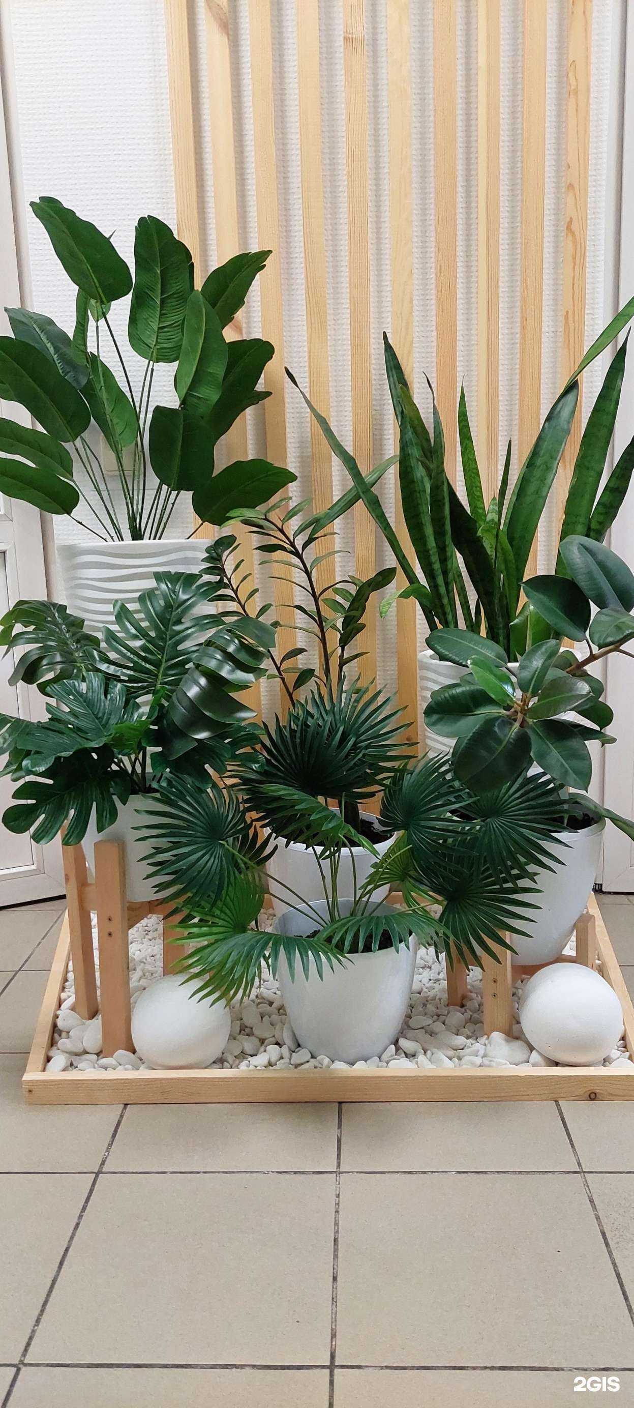 Отзывы на компанию Slim line в Барнауле c фото