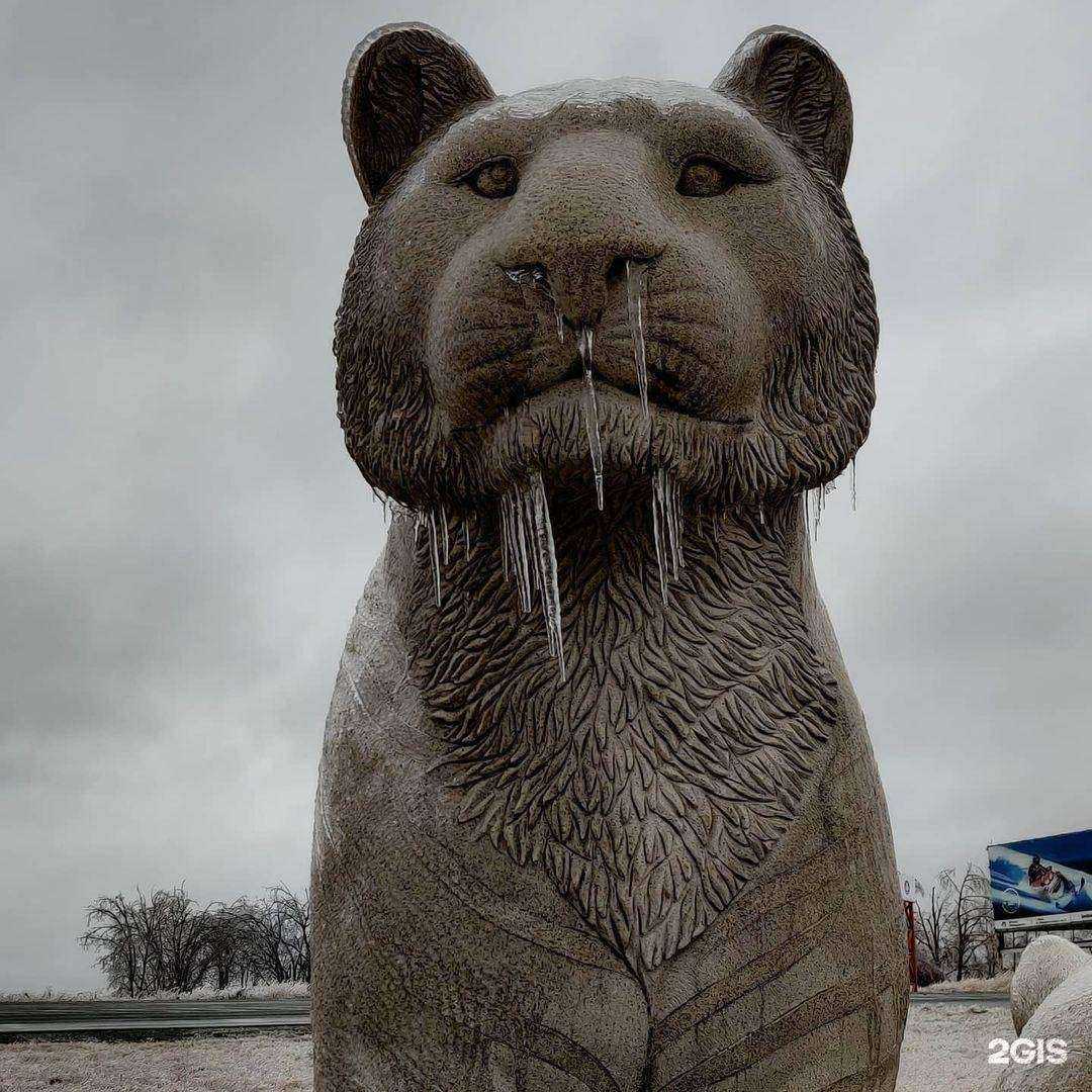 Отзывы на компанию Влад.Мед.Транс. в Владивостоке c фото