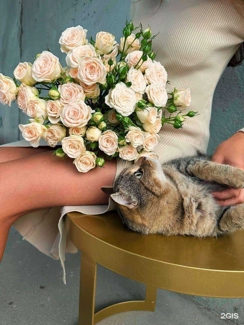 Отзывы на компанию The moment of love в Набережных Челнах c фото