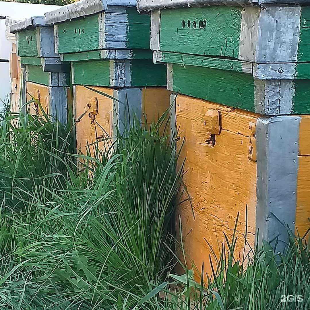 Отзывы на компанию Ваше здоровье в Уфе c фото