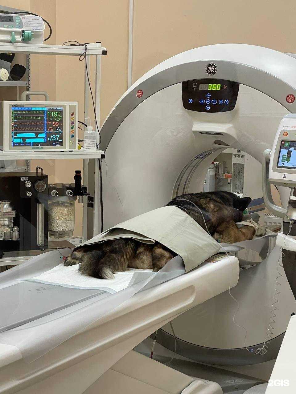 Отзывы на компанию Вита в г. Ростов-на-Дону c фото