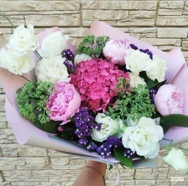 Отзывы на компанию Зелёный объектив в г. Сочи c фото