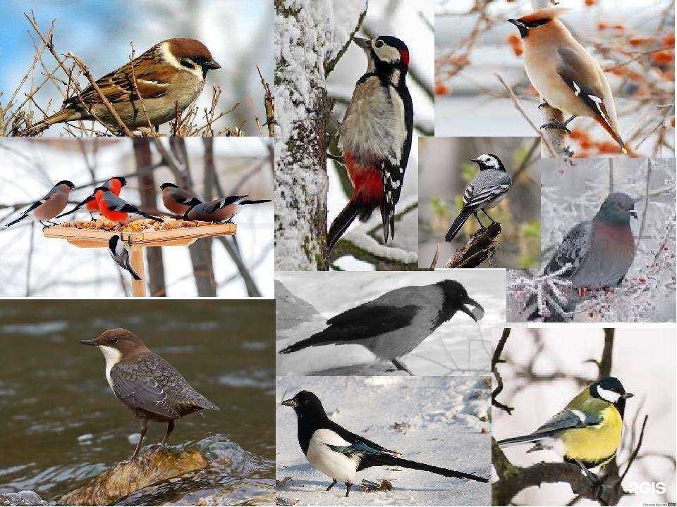 Отзывы на компанию Детский сад №29 в Липецке c фото