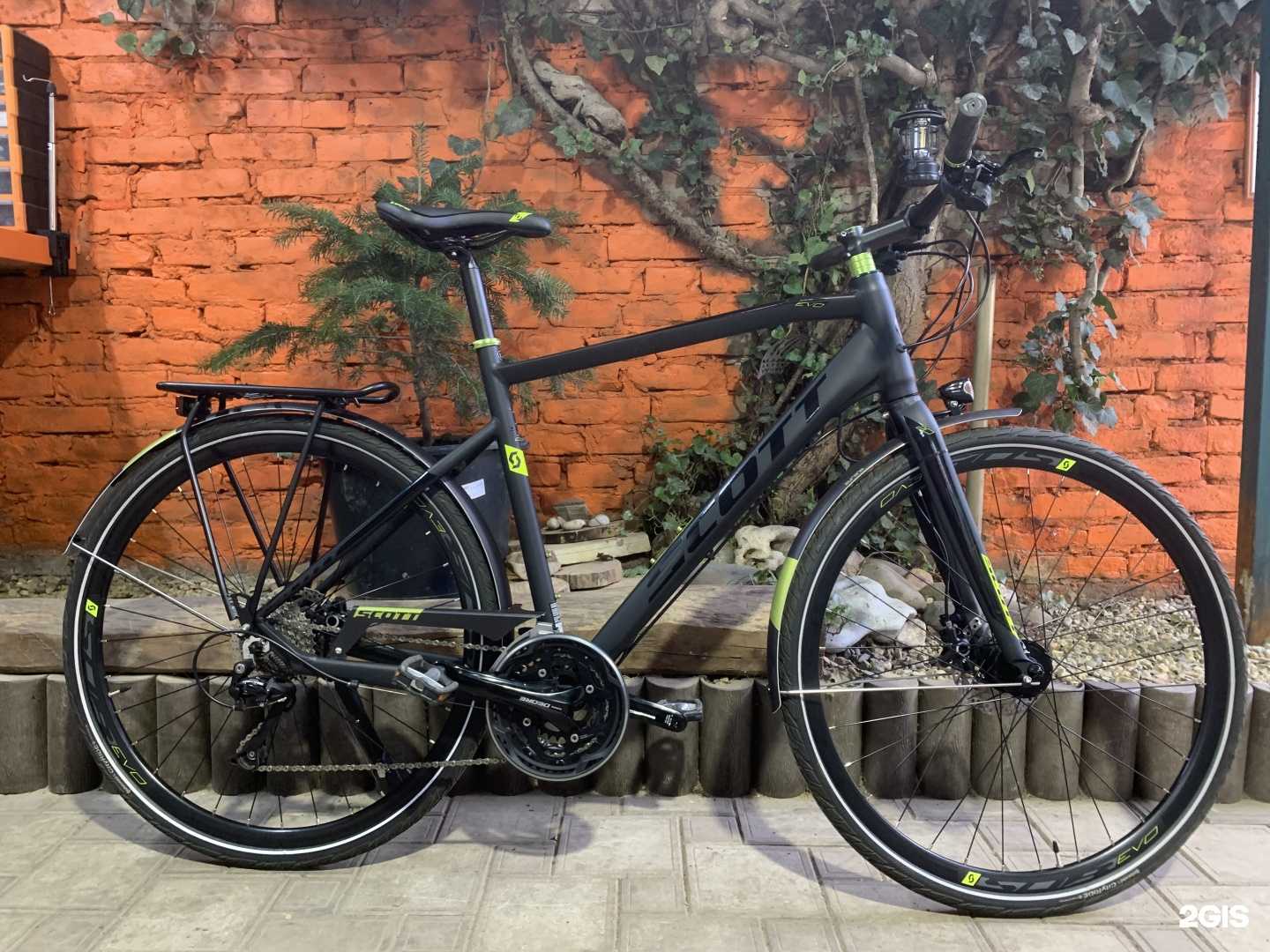 Отзывы на компанию Педальный Конь в Краснодаре c фото