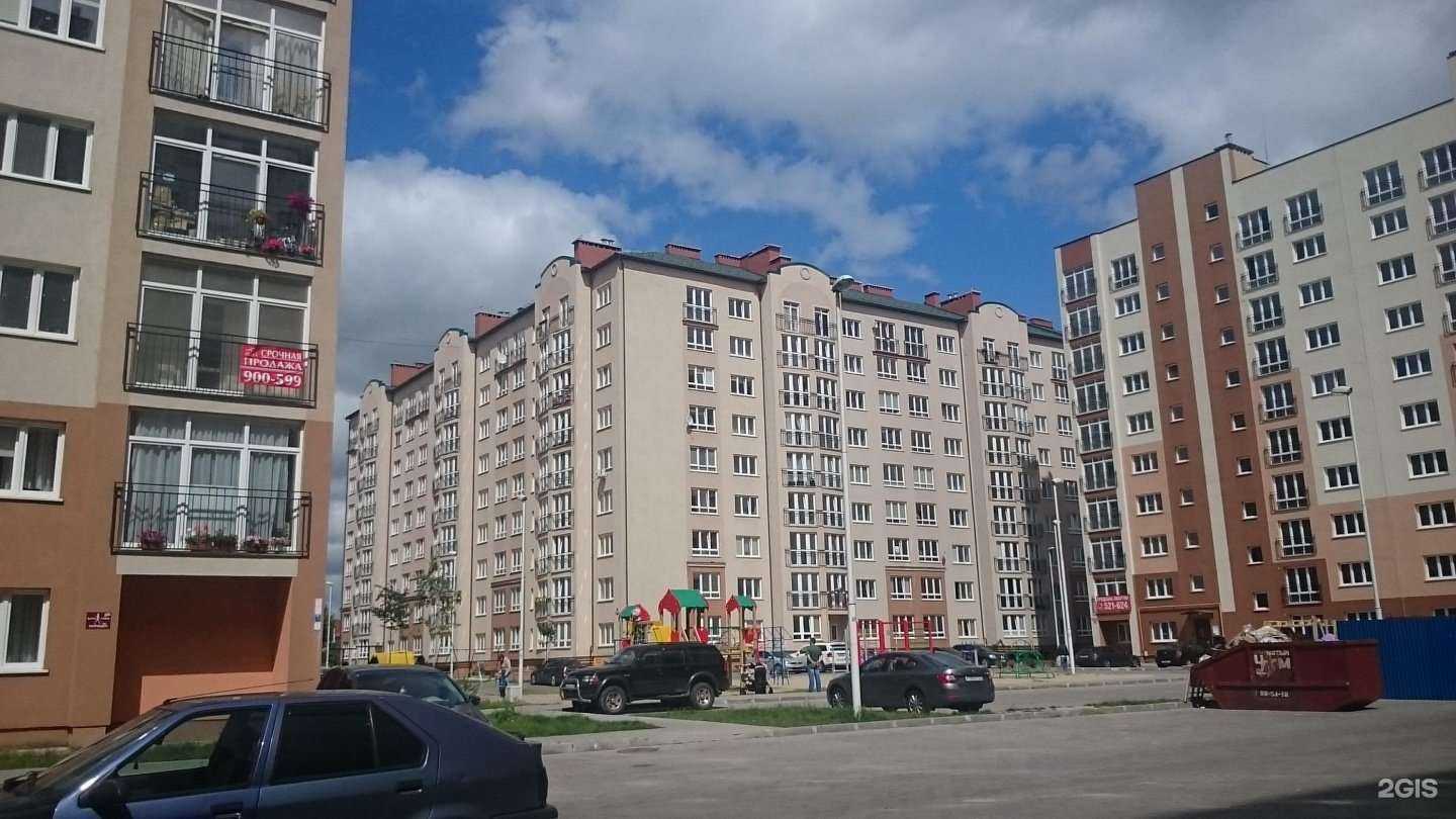 Отзывы на компанию Федерация Айкидо Ёсинкан Калининградской области в Калининграде c фото - фотография 2 из 2