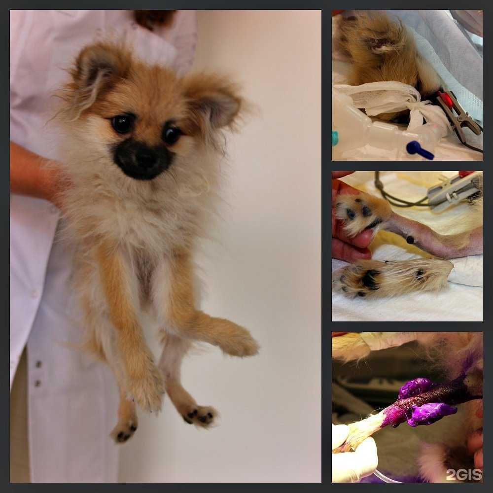 Отзывы на компанию Друзья в Белгороде c фото