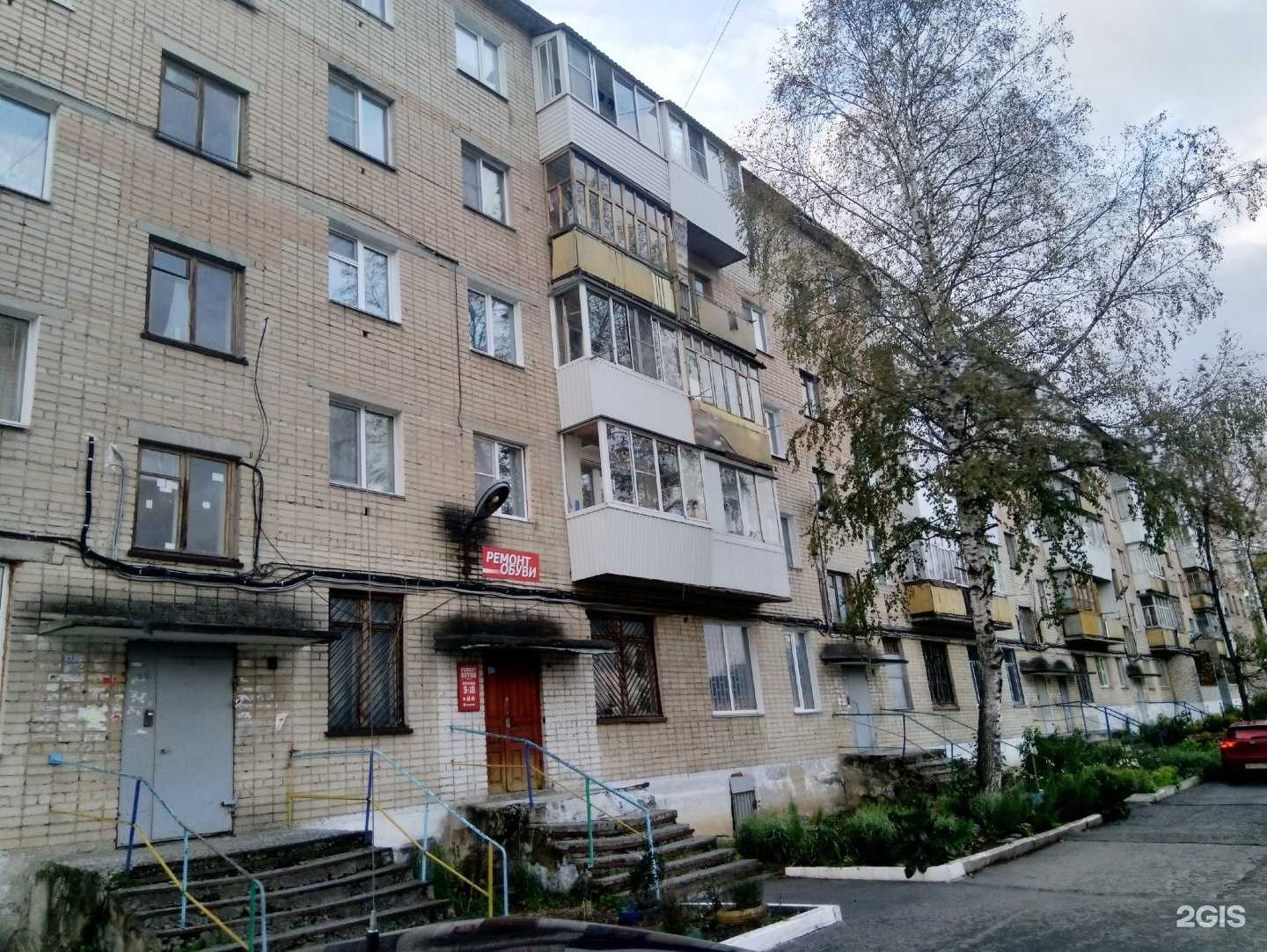 Отзывы на компанию ЗооМур в г. Златоуст c фото