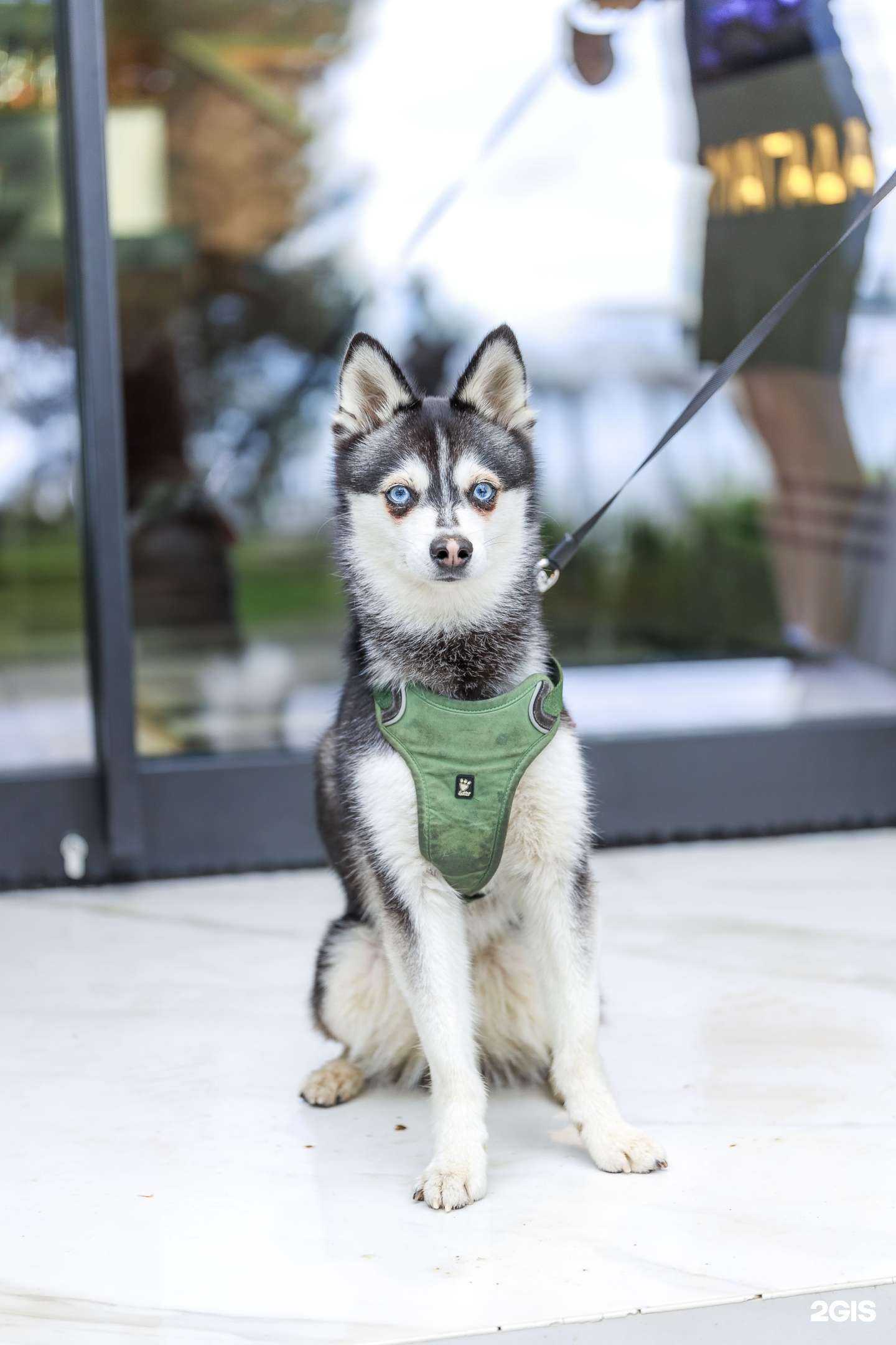 Отзывы на компанию Магадан в г. Геленджик c фото