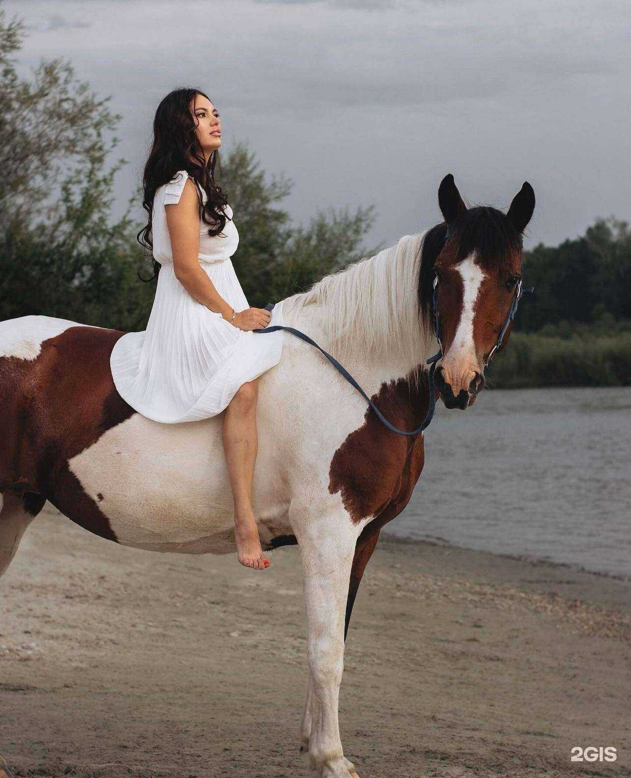 Отзывы на компанию Кони-Пони в Ангарске c фото