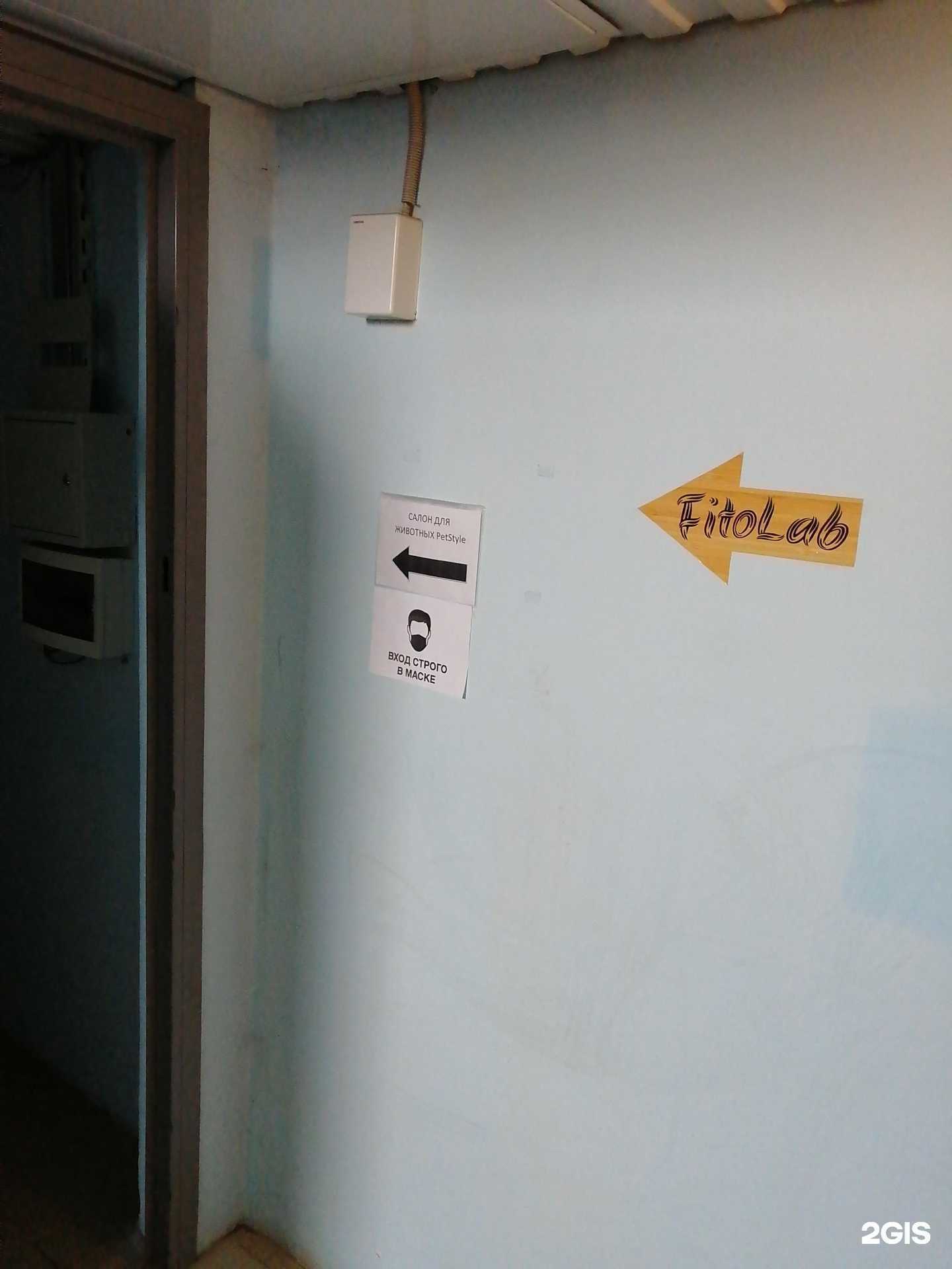 Отзывы на компанию Petstyle в Твери c фото