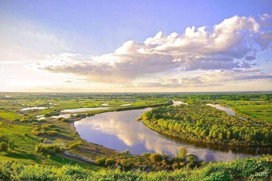 Отзывы на компанию Вторма Клининг в Владимире c фото