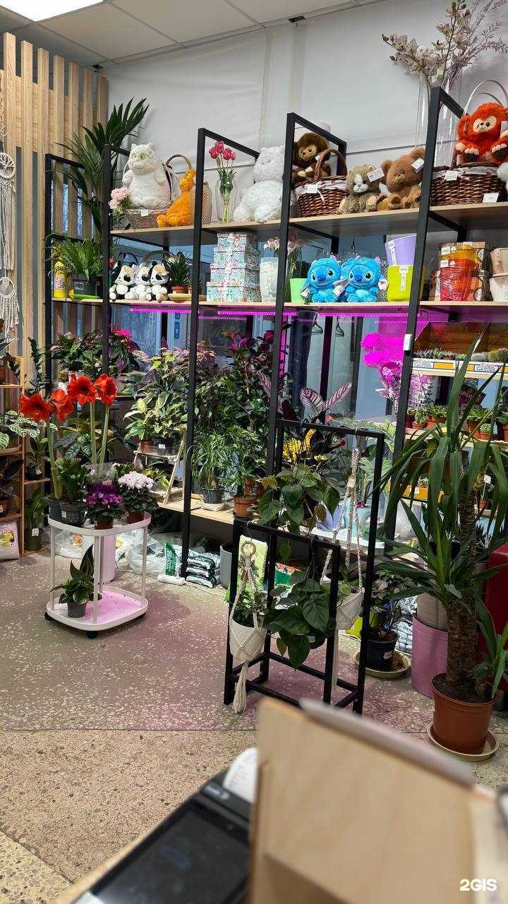 Отзывы на компанию Хэппика в г. Коломна c фото