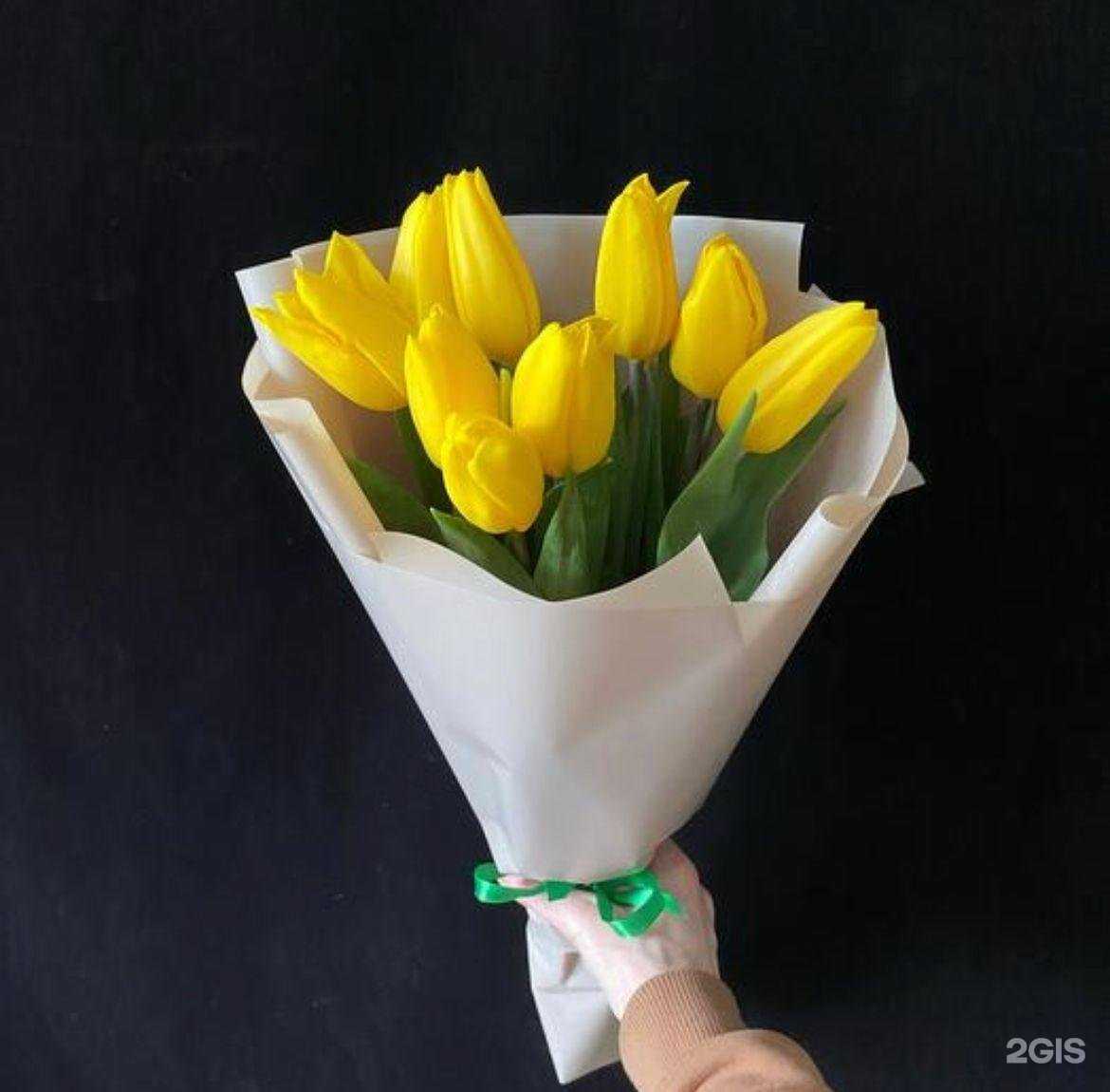 Отзывы на компанию Каталея в Сургуте c фото