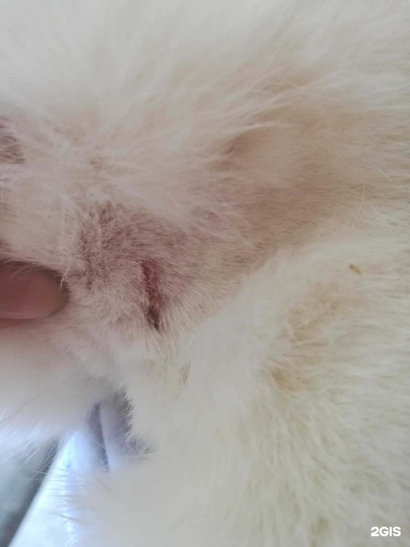 Отзывы на компанию ЗооМир в Нижнем Новгороде c фото