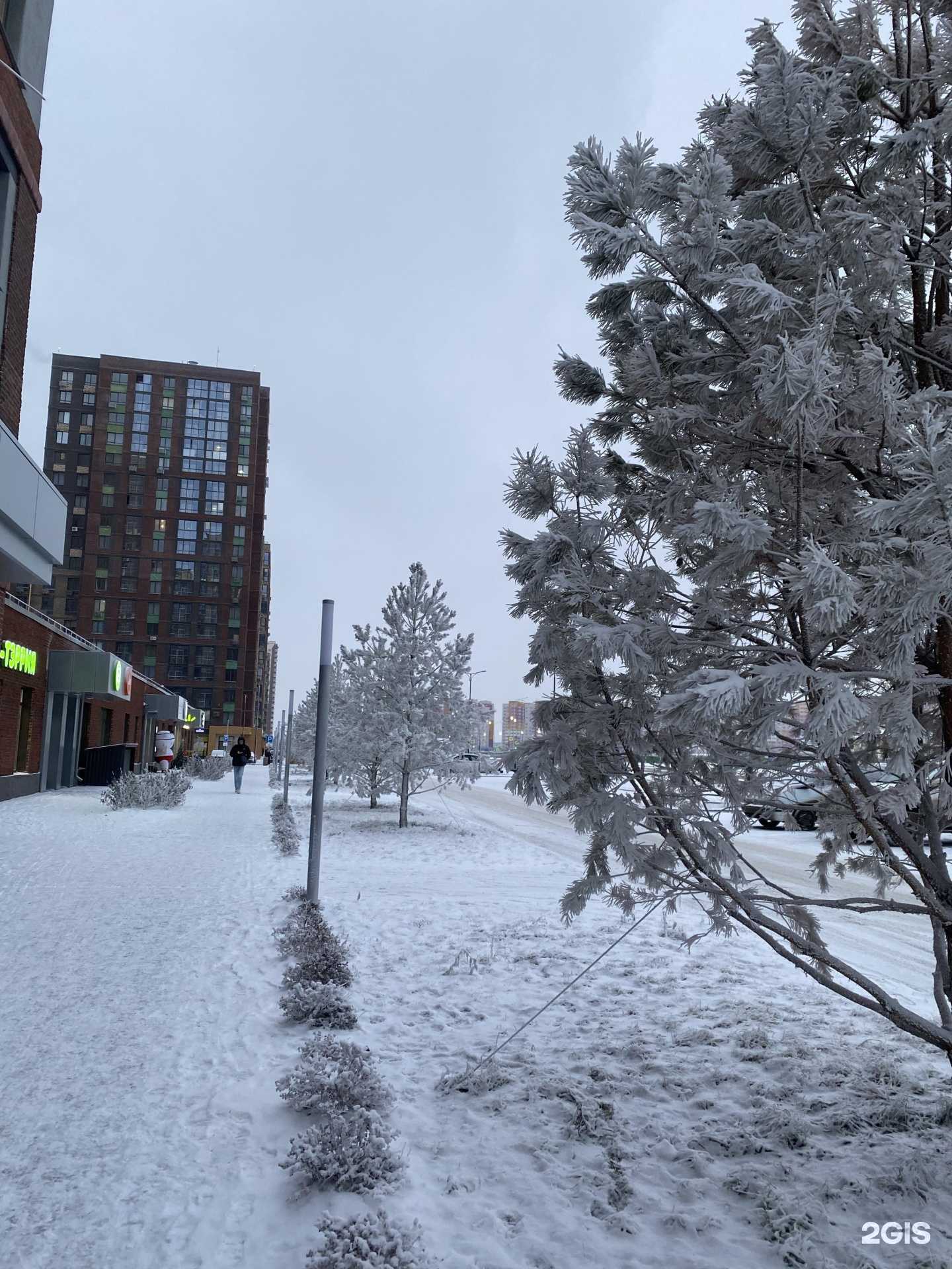 Отзывы на компанию ПамперсОк в Тюмени c фото