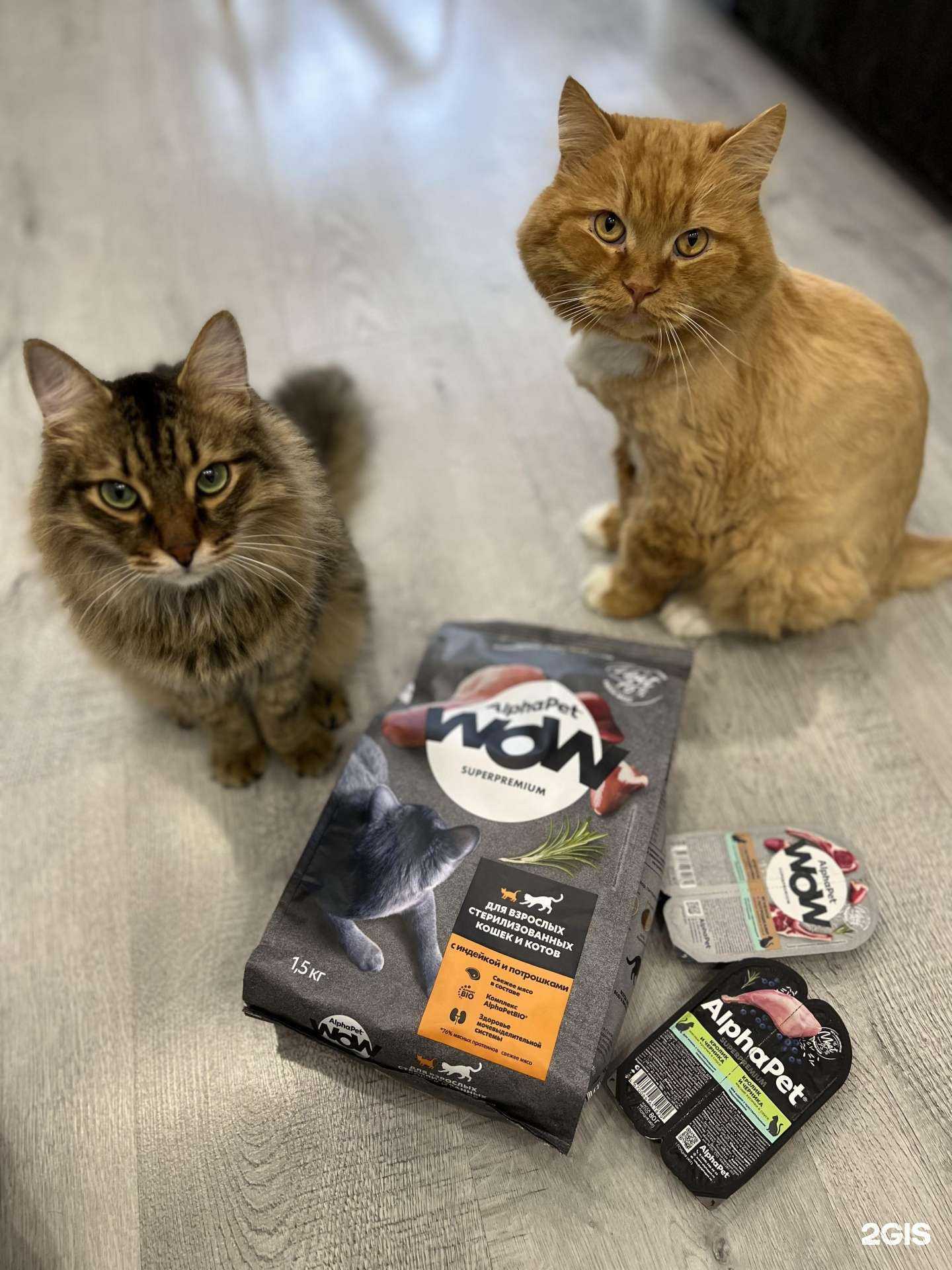 Отзывы на компанию Zveram.ru в Тюмени c фото