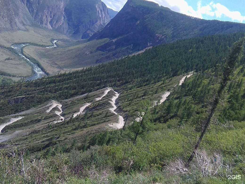 Отзывы на компанию АлтайТурМаркет в Барнауле c фото