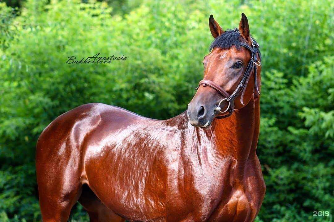 Отзывы на компанию Кентавр в г. Красноярск c фото