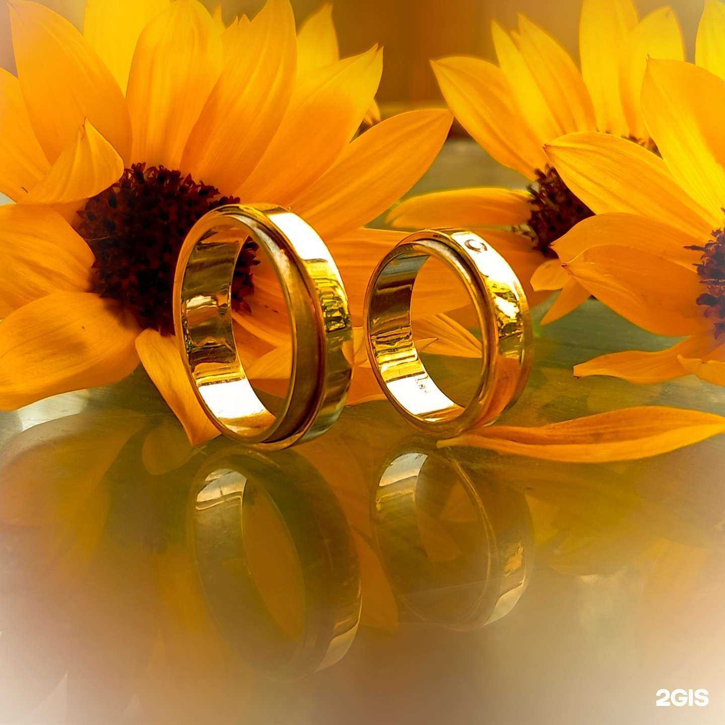 Отзывы на компанию GeninGold в г. Краснодар c фото