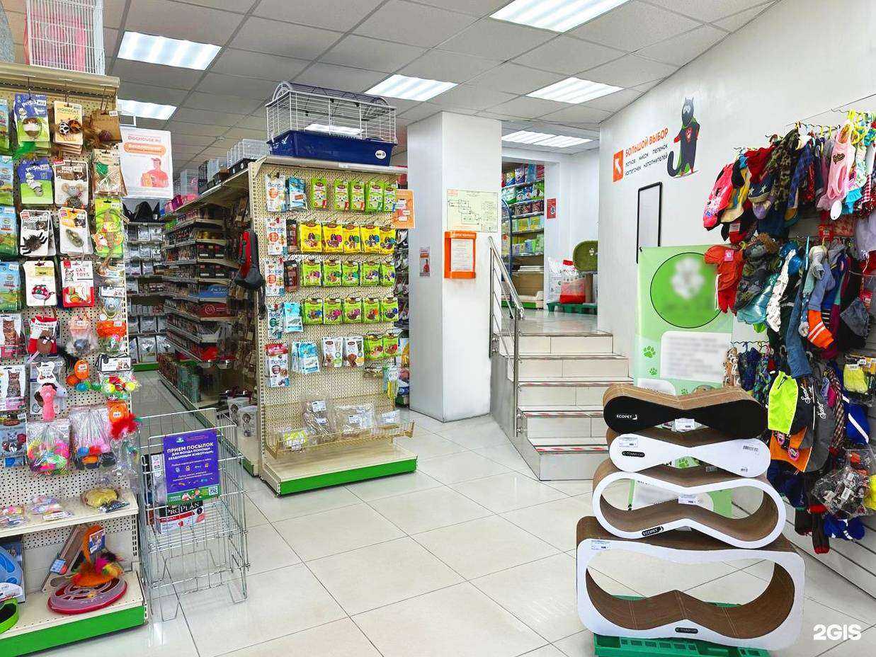 Отзывы на компанию DogHouse в г. Владивосток c фото