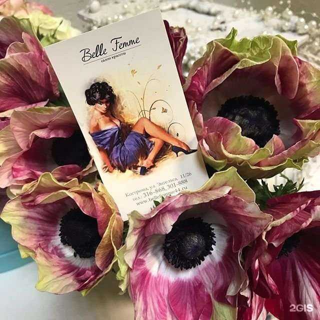 Отзывы на компанию Бель Фам в г. Кострома c фото