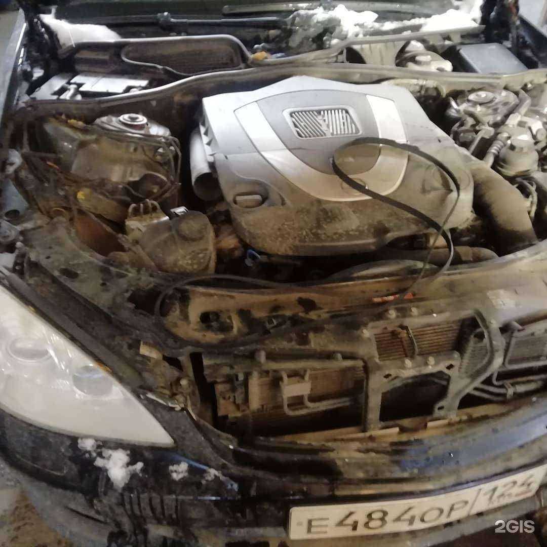 Отзывы на компанию Bonsai trade в Красноярске c фото