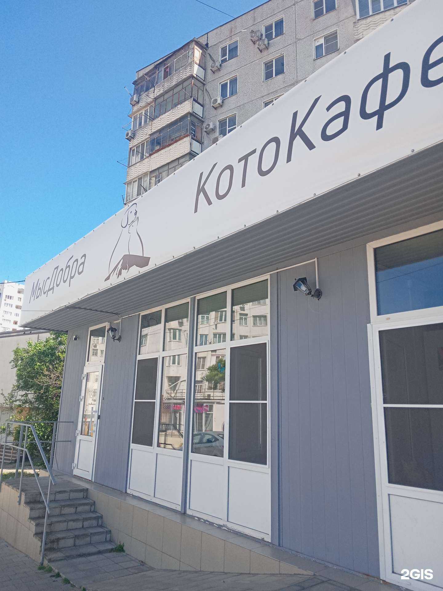 Отзывы на компанию Котокафе в г. Новороссийск c фото