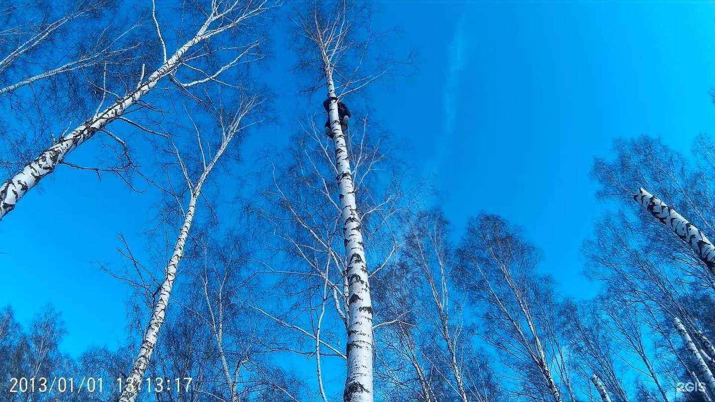Отзывы на компанию Спилпрофи в Рязани c фото
