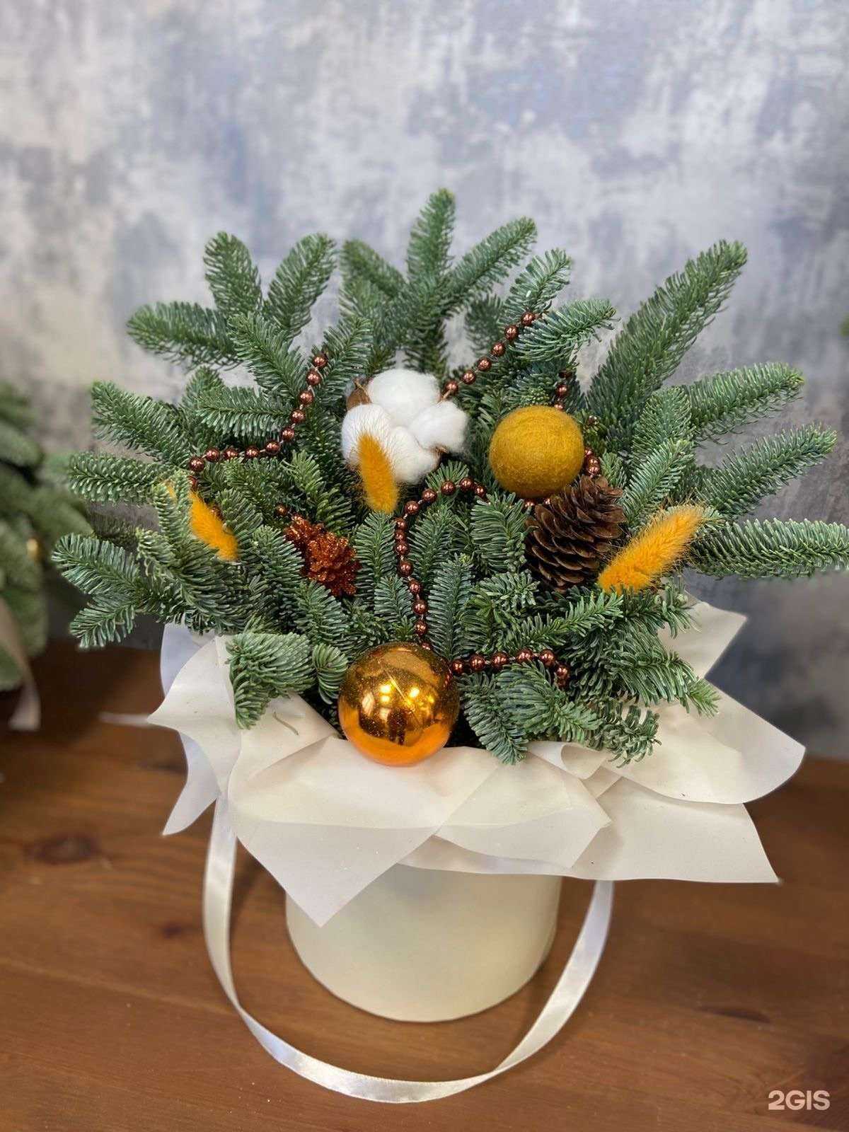 Отзывы на компанию Мимоза в Новосибирске c фото