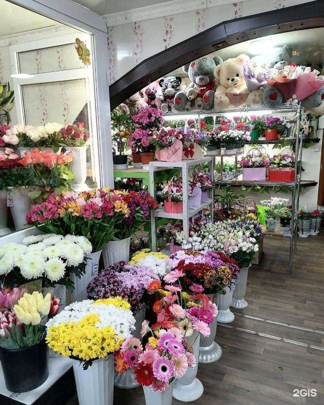 Отзывы на компанию Цветик-семицветик в г. Астрахань c фото