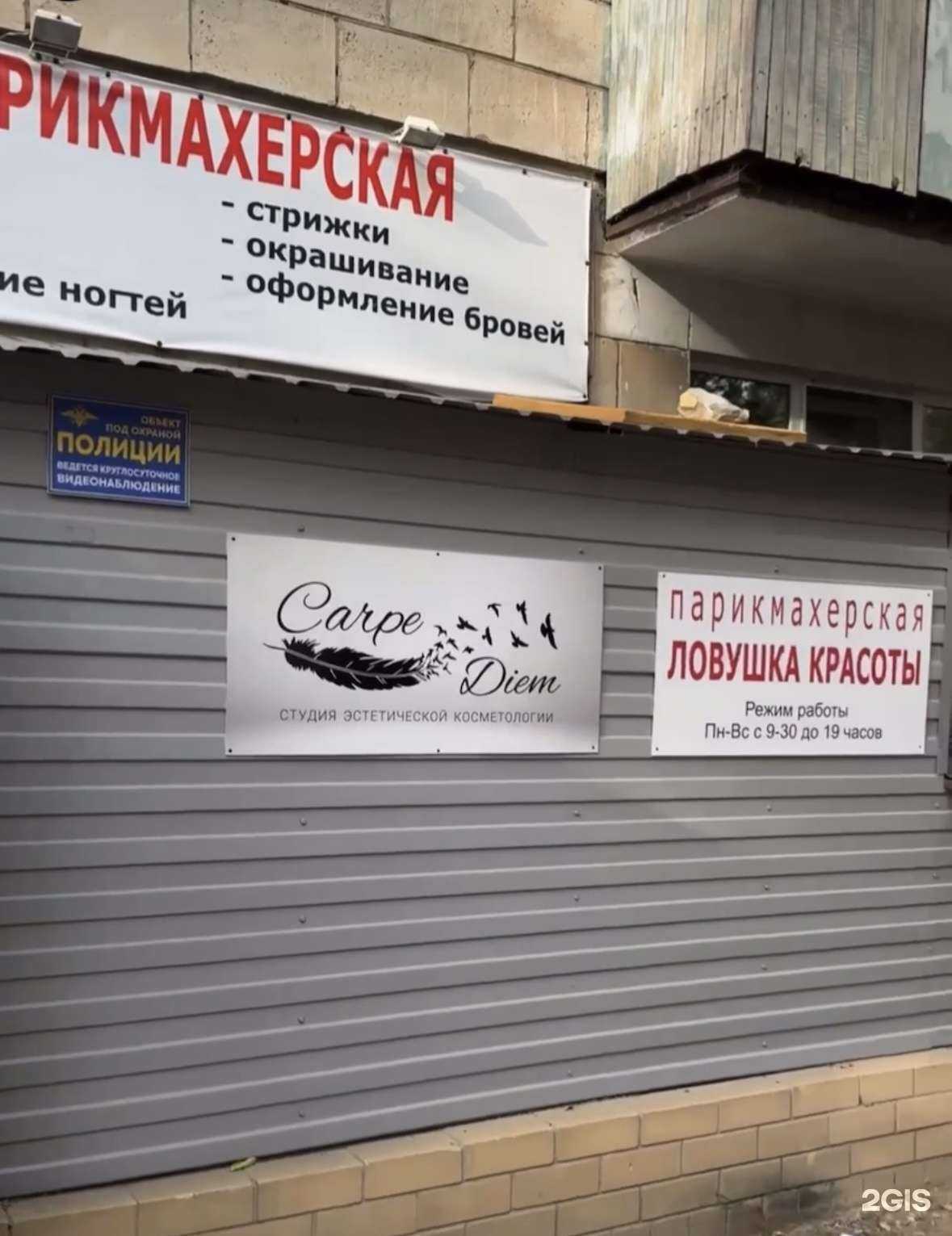 Отзывы на компанию Carpe Diem в Волгограде c фото