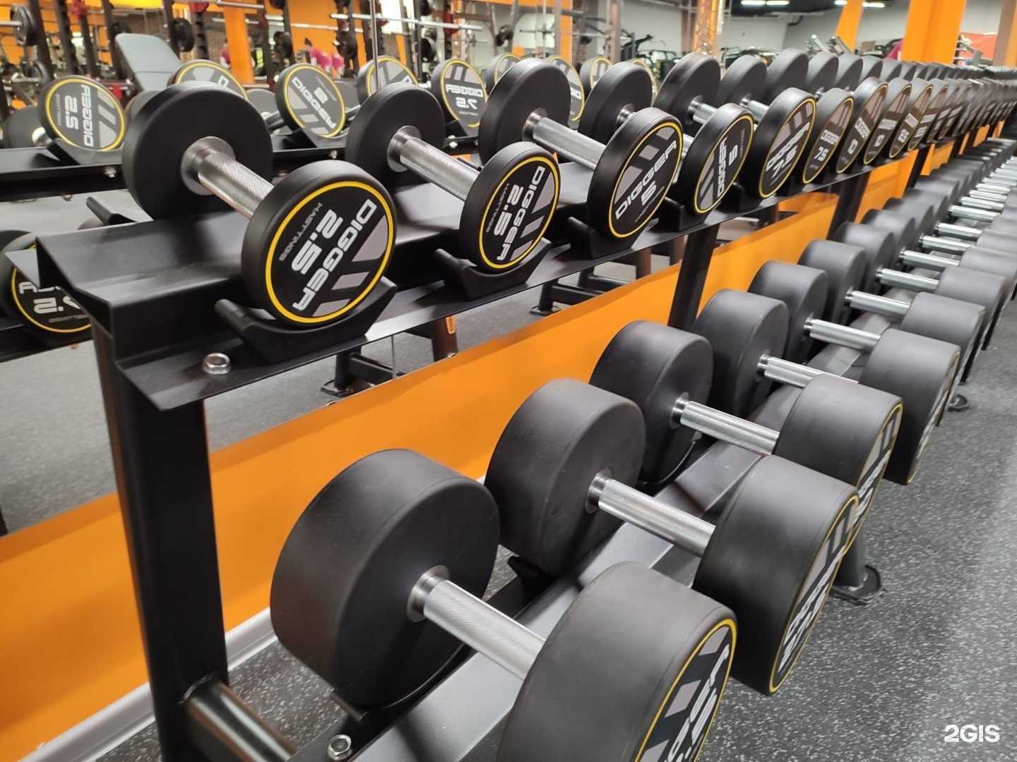 Отзывы на компанию Физ-ра в г. Сыктывкар c фото