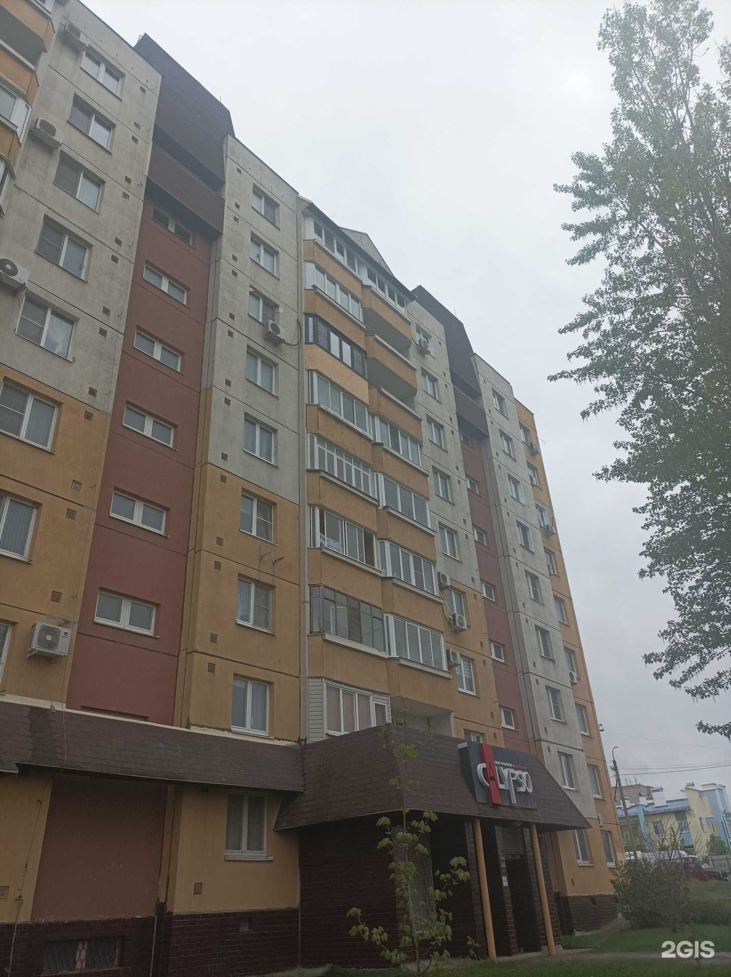 Отзывы на компанию Твой путь в Камышине c фото