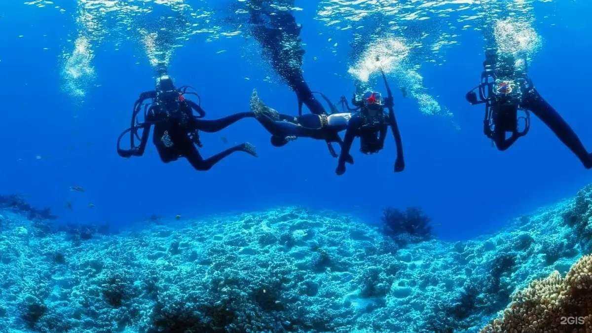 Отзывы на компанию Драга в г. Бердск c фото