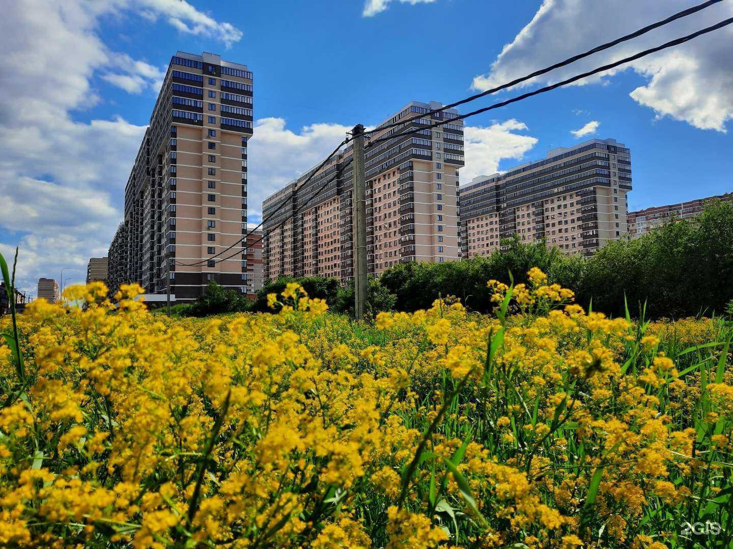 Отзывы на компанию 4hands в Краснодаре c фото - фотография 2 из 2