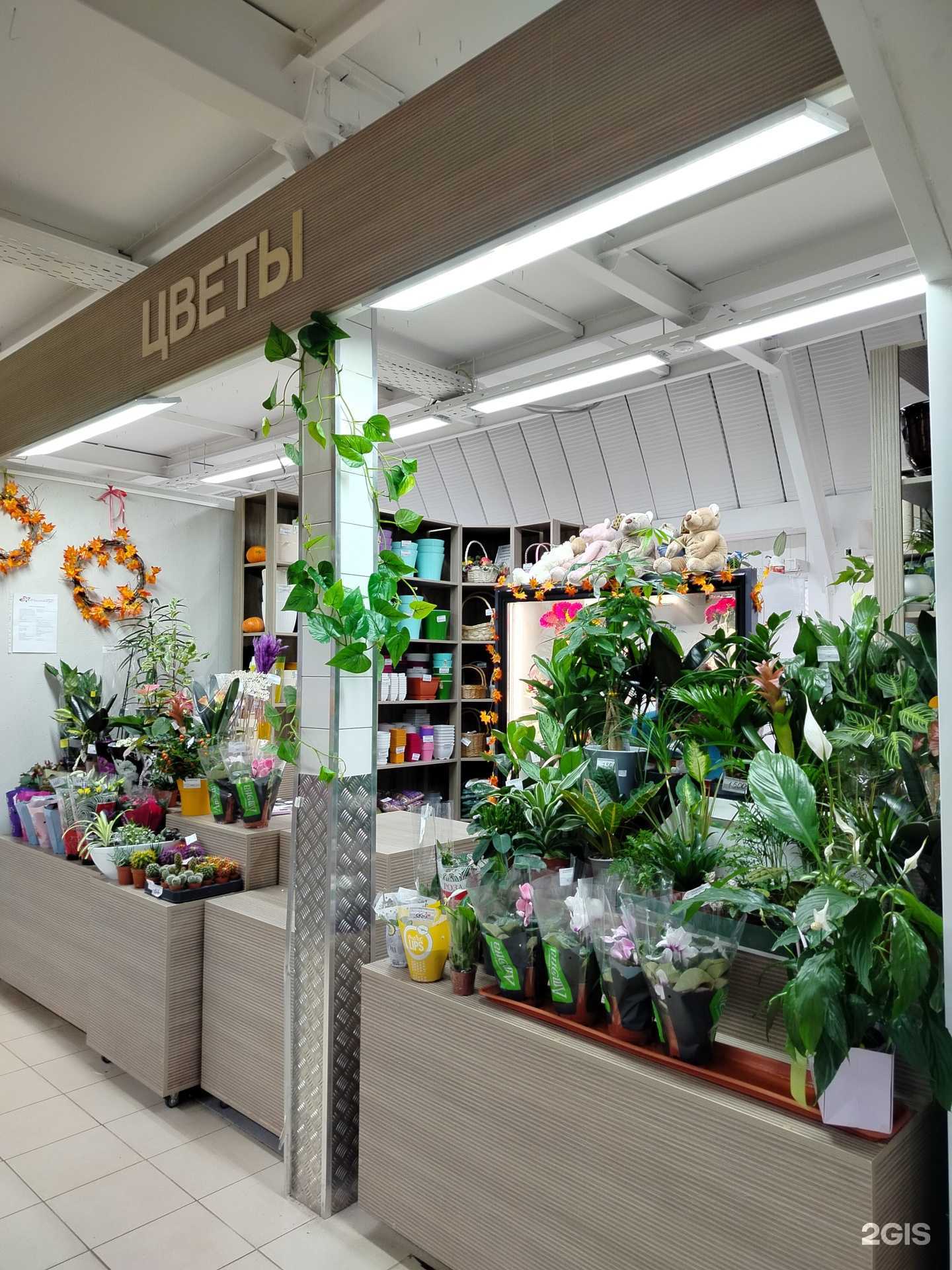 Отзывы на компанию Диантус в г. Оренбург c фото