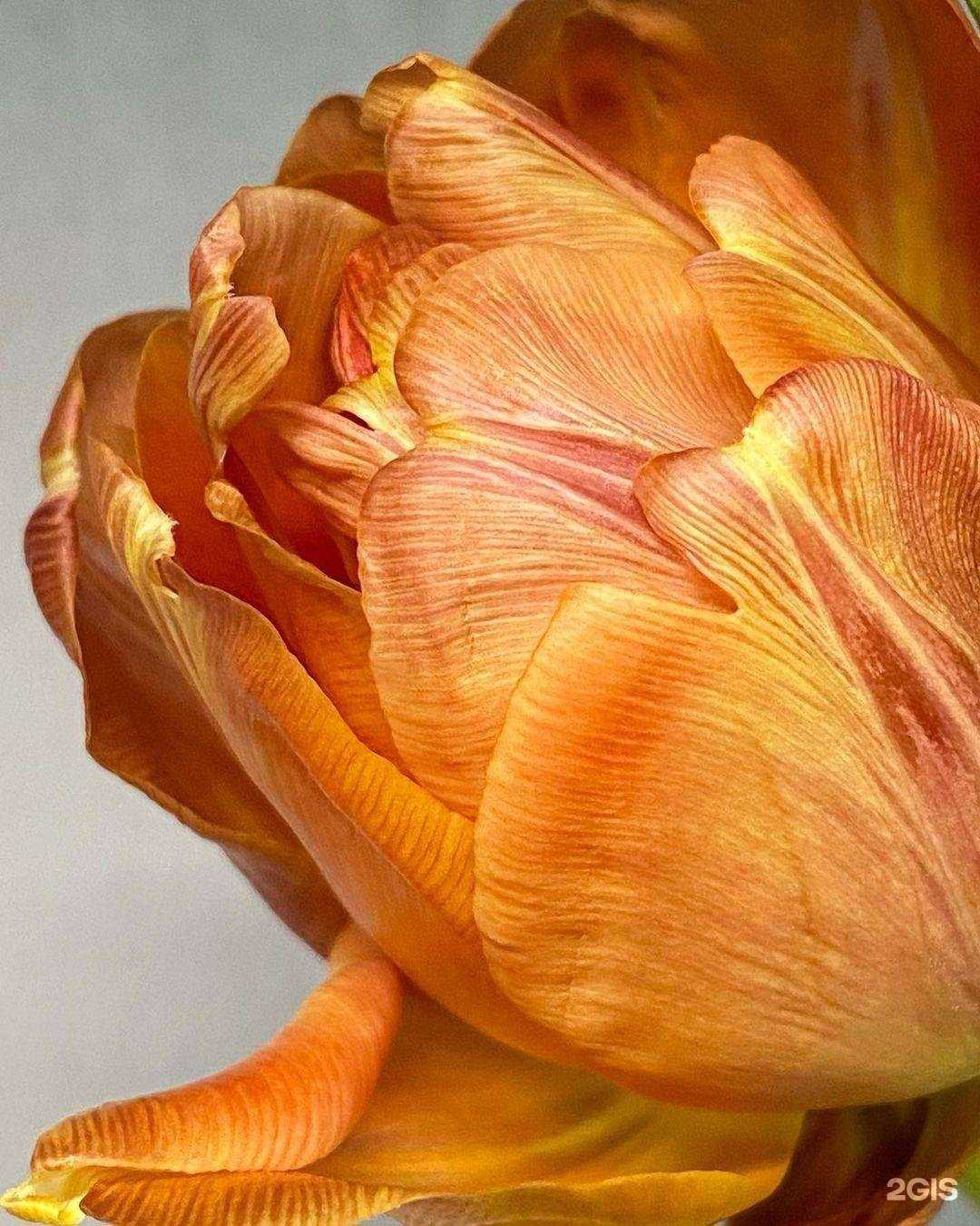 Отзывы на компанию KokorevaFoto в Челябинске c фото