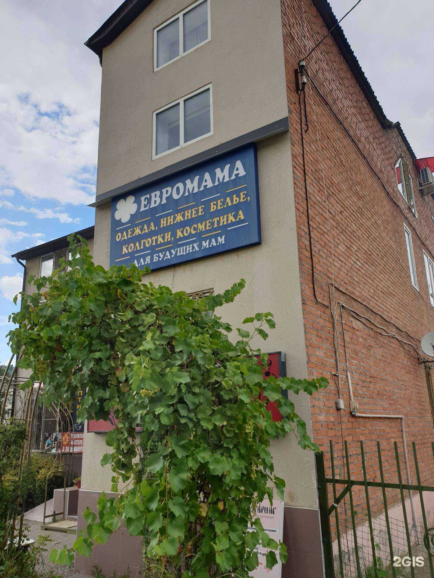 Отзывы на компанию Лекарь в Грозном c фото - фотография 2 из 2