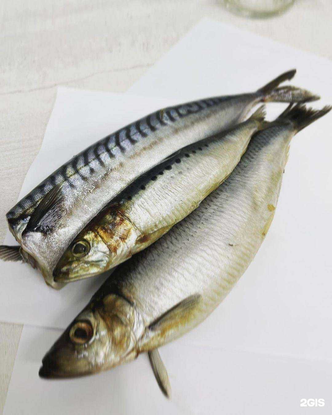 Отзывы на компанию Рыбная лавка в г. Оренбург c фото