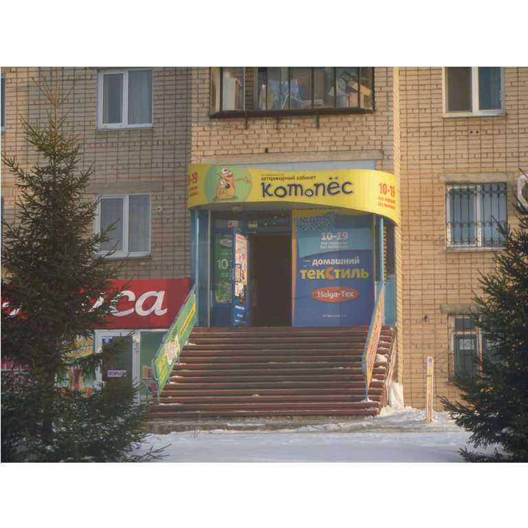 Отзывы на компанию КотоПес в г. Златоуст c фото