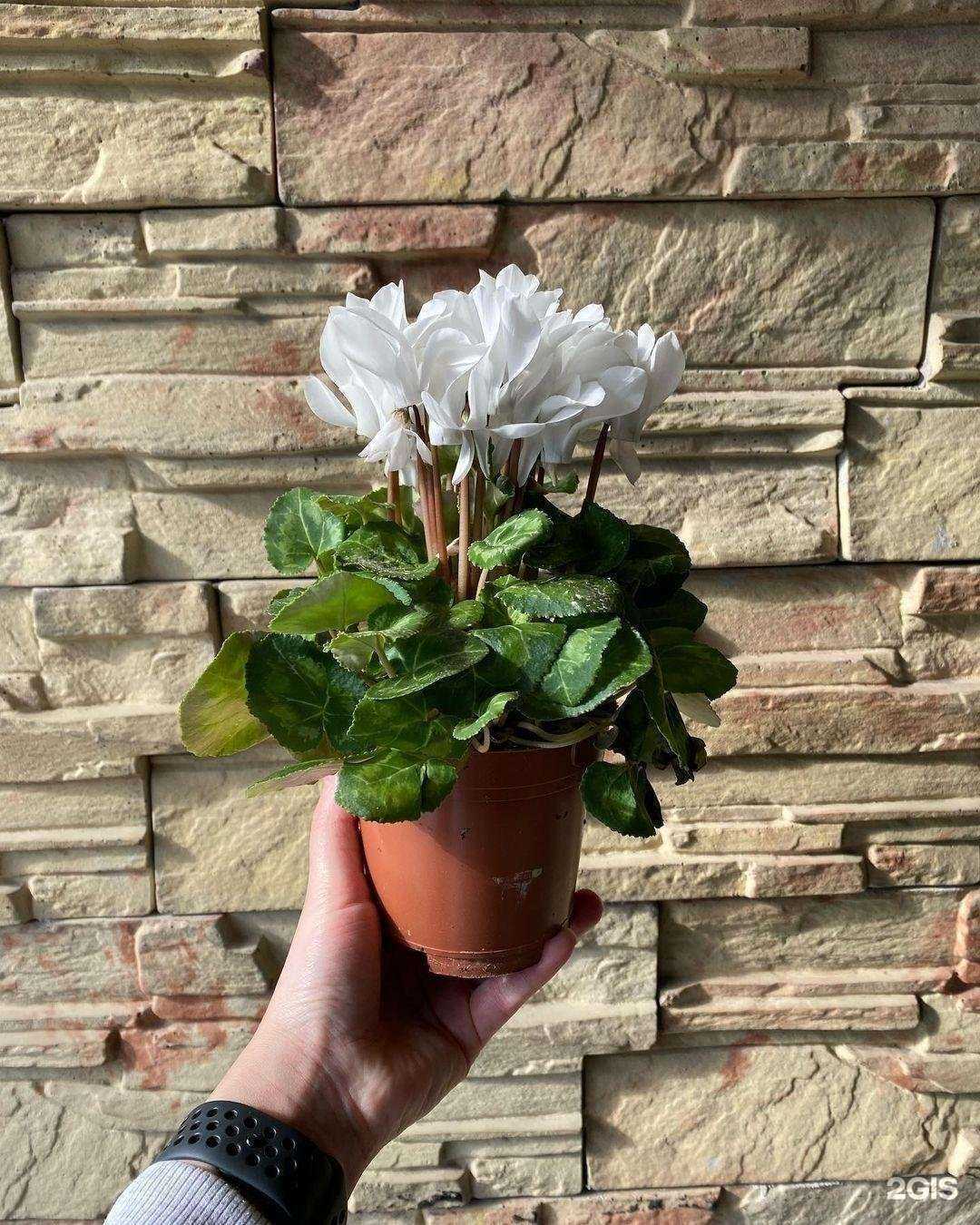 Отзывы на компанию Аэлинка в Уфе c фото