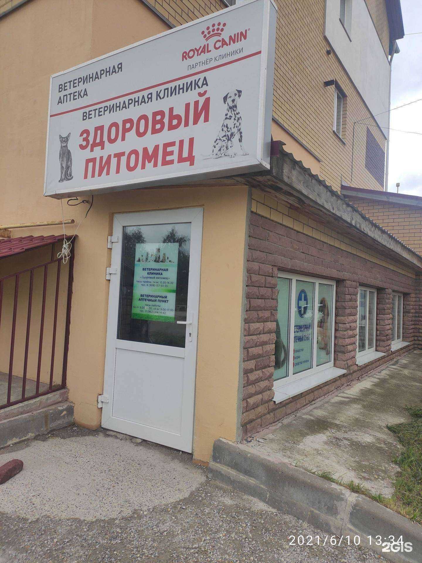 Отзывы на компанию Здоровый питомец в Арзамасе c фото