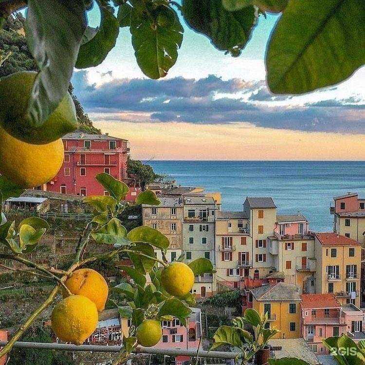 Отзывы на компанию Вояж в Майкопе c фото