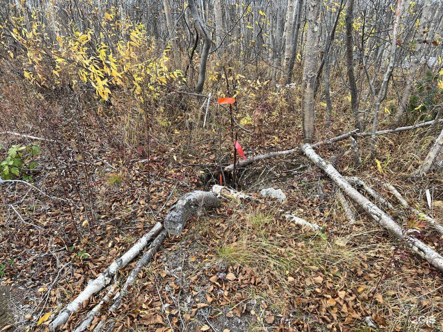 Отзывы на компанию Кадастровая компания в г. Елизово c фото