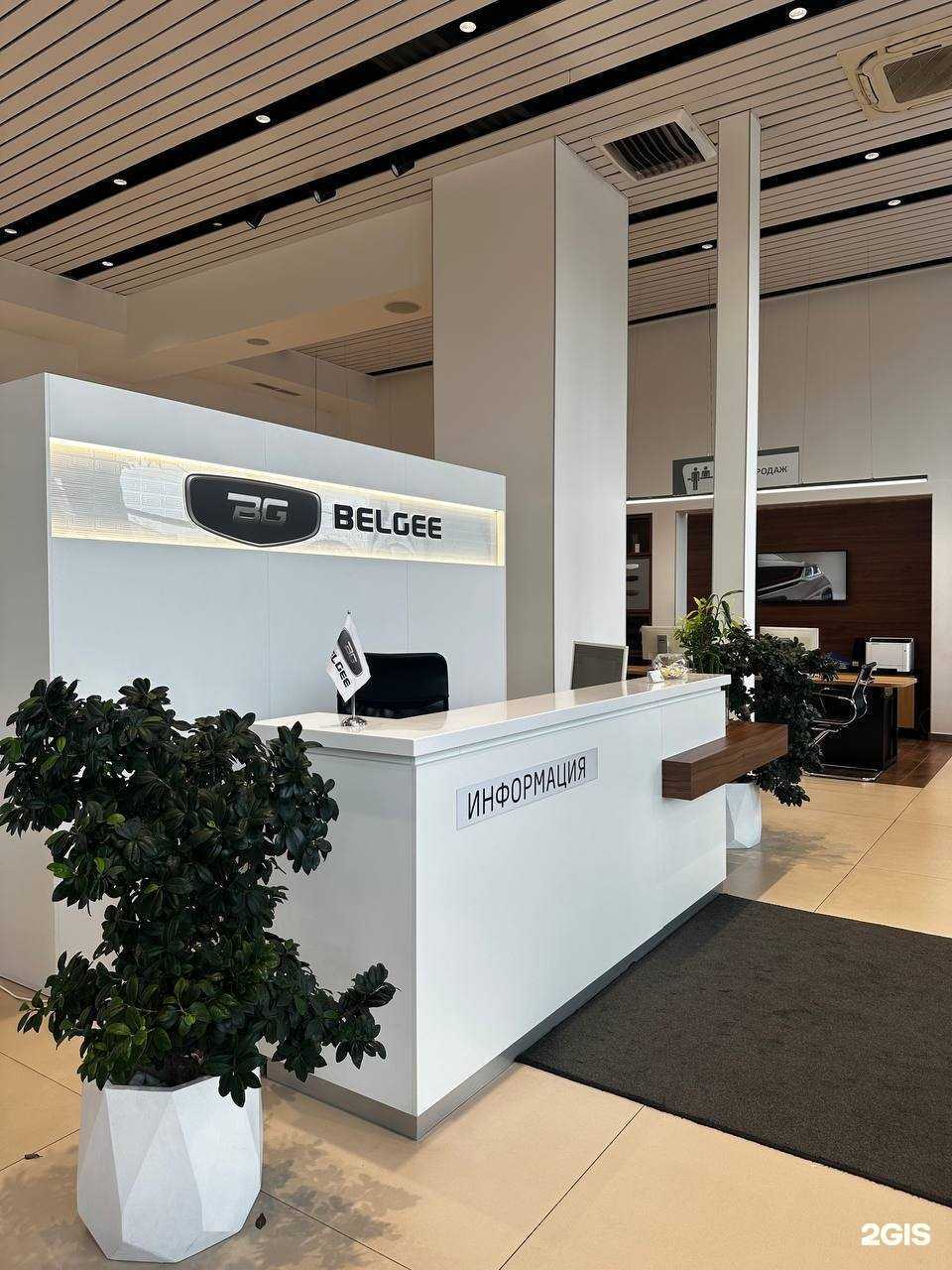 Отзывы на компанию Belgee в Калининграде c фото